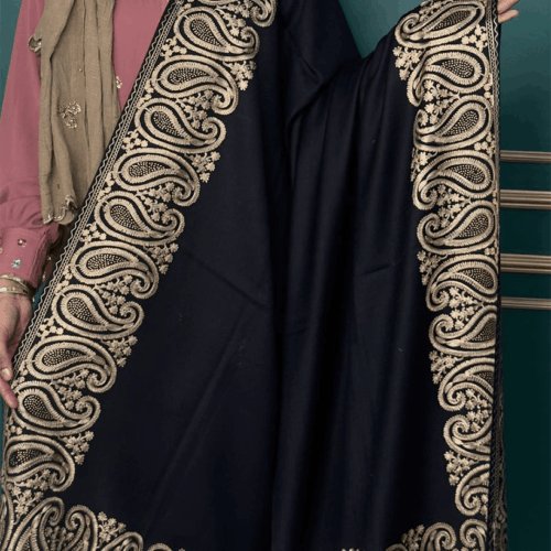 Original Kashmiri Kolka Border Embroidered Fine Wool Maryam Nawaz Shawls -Unisex