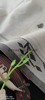 SD31.1 COTTON(1)